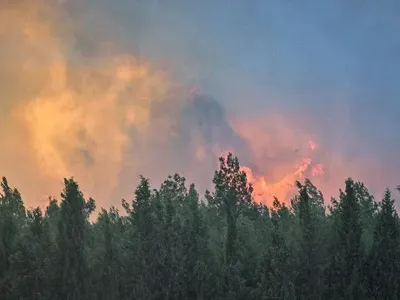 У Туреччині почалися лісові пожежі, людей евакуюють