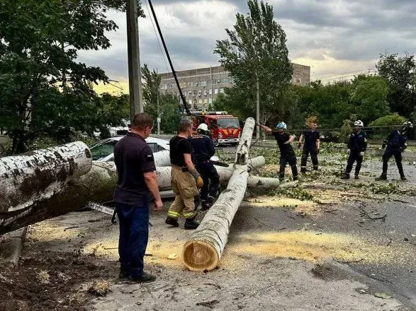 Непогода в Запорожье: на тротуарах поваленные деревья, затоплены улицы