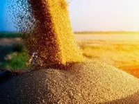 Украина рассматривает возможность экспортировать зерно через воды Румынии и Болгарии - посол