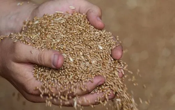 В окупованому Скадовську окупанти грабують зерно у мирних людей – Генштаб