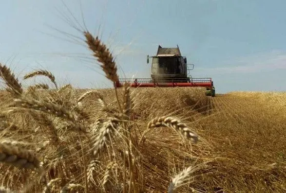 Украинские аграрии просят защиты от дискриминации со стороны ЕС