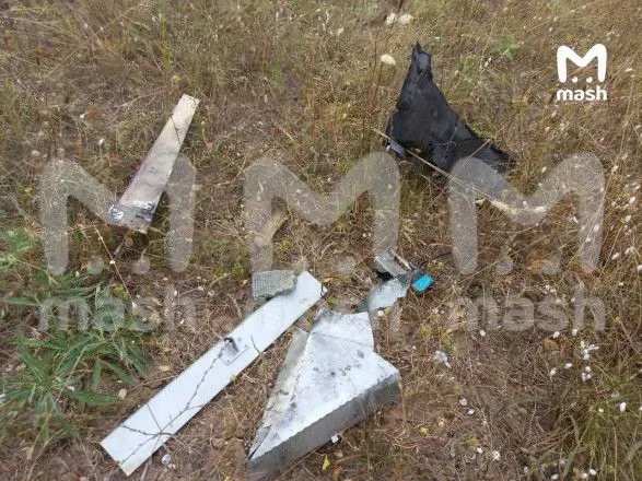 Дрон, начиненный взрывчаткой, обнаружили возле крымского села: российские Telegram-каналы пишут, что БПЛА - украинский
