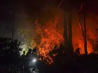 В Індонезії зростає ризик лісових пожеж: суха погода прийшла раніше очікуваного