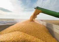Єврокомісії пропонують розширити Шляхи Солідарності та компенсувати втрати перевізників українського зерна