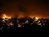 У турецькій Анталії лісові пожежі наближаються до курортів, постраждали 6-ро людей