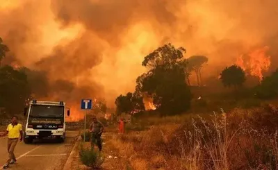 Лісові пожежі в Італії: відомо про трьох загиблих