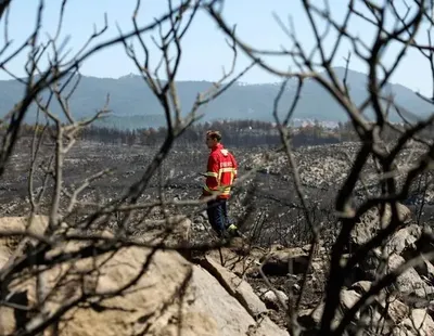 Масштабные лесные пожары вспыхнули в Португалии, пострадавшие