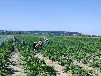 "Сади Перемоги": фермери на Черкащині передали зібраний врожай на потреби дитячої обллікарні