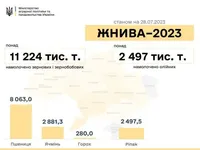 Жатва в Украине: намолочено более 11 млн тонн зерна - Минагрополитики