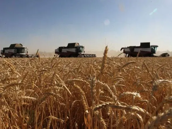 Страны Персидского залива выступают за продление "зерновой сделки" в короткие сроки