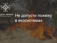 Из-за вражеского обстрела в Запорожье сгорело 20 гектаров с ячменем
