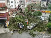 Сильний дощ у Пекіні після тайфуну перетворив дороги на річки, двоє загиблих