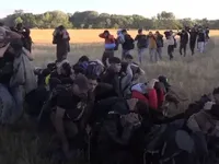 Сербська поліція затримала 200 нелегальних мігрантів біля кордону з Угорщиною
