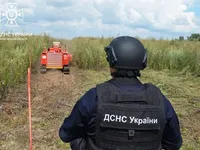 Залучили машину механізованого розмінування: як на Чернігівщині очищають території від боєприпасів