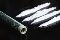 Почти полмиллиона долларов ежемесячно зарабатывали на сбыте кокаина двое жителей Киевщины