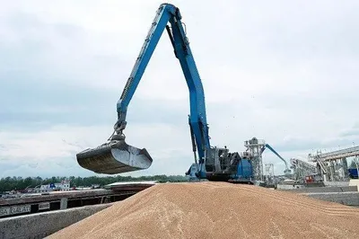 В Україні врожай зернових буде втричі більше: може бути зібрано до 55 мільйонів тонн зерна