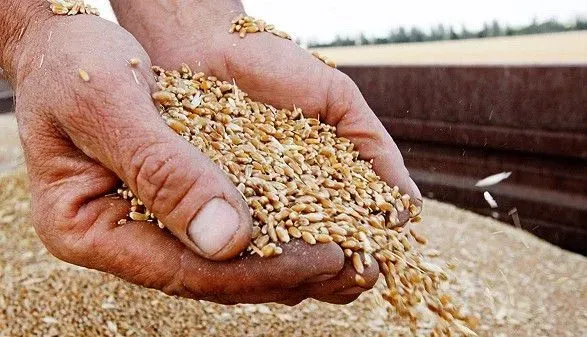 Одесские аграрии собрали более 3 млн тонн урожая