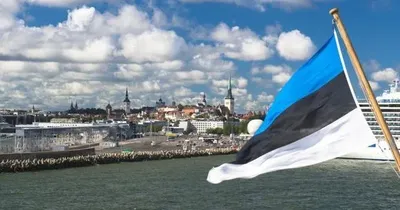 Естонія оголосила про передачу Україні 150 одиниць стрілецької зброї та боєприпасів до неї