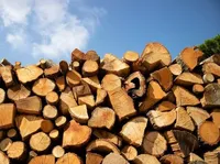 Подготовка к отопительному сезону: лесоводы заготовили более 1,5 млн кубометров дров