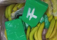 Чешская полиция изъяла 646 кг кокаина в грузовике с бананами