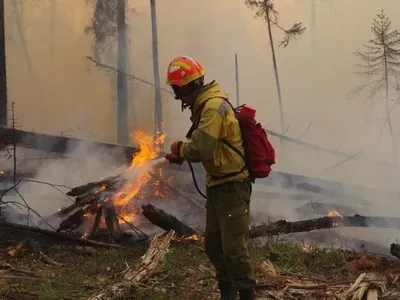 Лісові пожежі на Гаваях: серед місцевих зростає невдоволення через дії уряду