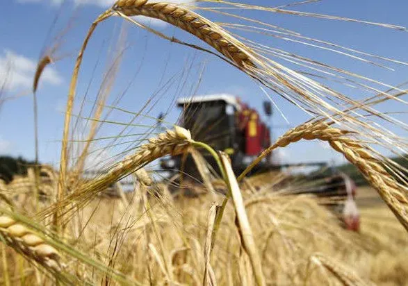 Логістика більше впливатиме на вартість українського зерна, ніж врожайність – експерт