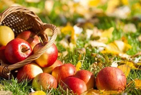 Сегодня Яблочный Спас и Преображение Господне: традиции празднования, чего сегодня нельзя делать