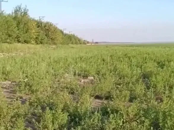 В ОП показали, как выглядит Каховское водохранилище спустя почти 2,5 месяца после теракта