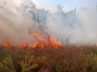 На Херсонщині за минулу добу 9 пожеж - ДСНС