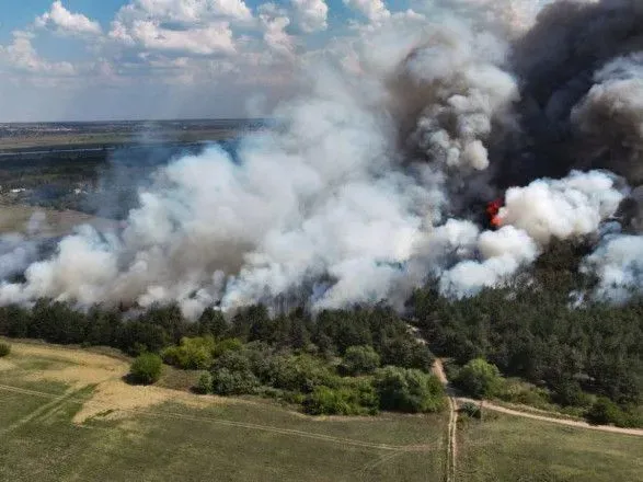 На Николаевщине снова горит Андреевский лес: загорелось 20 гектаров