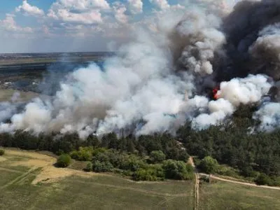 На Миколаївщині знову горить Андріївський ліс: загорілось 20 гектарів