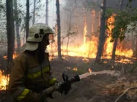 Масштабный пожар в лесу на Николаевщине: для ликвидации дополнительно направили еще спасателей и технику