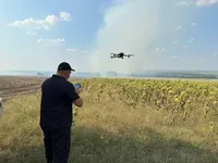 В Николаевской области потушили лесной пожар, длившийся более полусуток