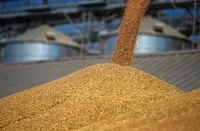 К сведению экспортеров: глава Одесской ОВА Кипер назвал условия погрузки зерна
