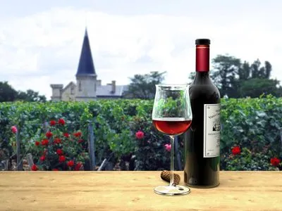 Франція та ЄС планують витратити 215 мільйонів євро на підтримку виробників вина