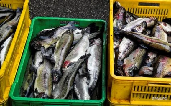 росія сподівається збільшити експорт морепродуктів до Китаю після заборони імпорту з Японії