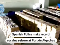 Іспанська поліція знайшла рекордну партію кокаїну серед бананів з Еквадору