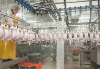 Китай заборонив імпорт м'яса птиці з чотирьох російських підприємств