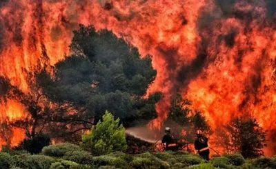 Пожежа в Греції стала найбільшою лісовою пожежею в ЄС