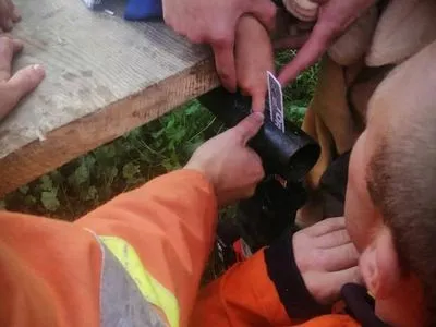 На Львовщине спасатели помогли 7-летней девочке, палец которой застрял в конструкциях телеги