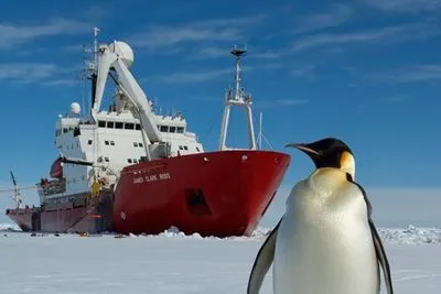 Австралія відправила до Антарктиди криголам заради евакуації хворого вченого - BBC