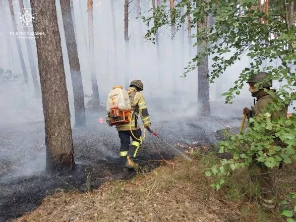 На Харківщині ворожий обстріл спричинив масштабну лісову пожежу. Вигоріло 5 га лісу