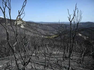 Уряд Греції взяв під контроль масштабну лісову пожежу у Дадії