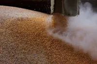 Єгипет уклав з рф приватну угоду на закупівлю майже півмільйона тонн пшениці - Reuters