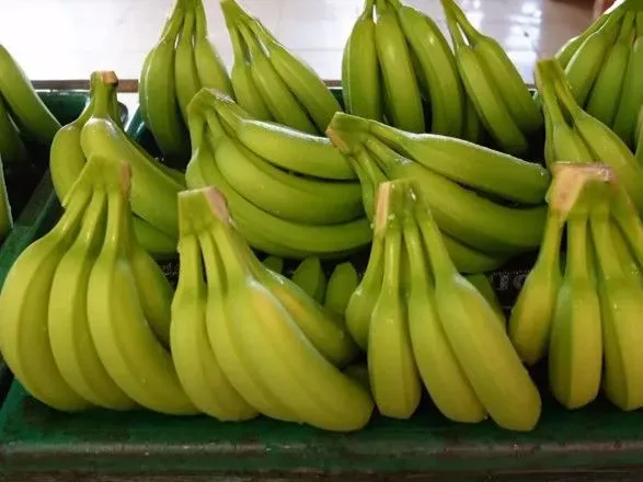 Поліція Еквадору виявила тонну кокаїну у вантажі з бананами, що прямував до Німеччини