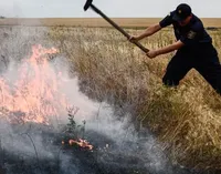 На Николаевщине из-за пожара сухостоя пострадал человек