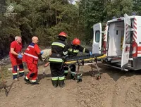 На Тернопольщине в лесу во время пожара погибла женщина