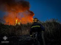Масштабный пожар в Одесской области: выгорело 20 гектаров земли