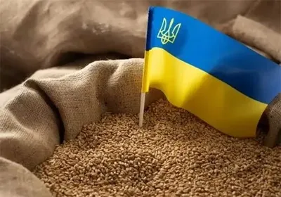 В Германии раскритиковали решение Польши, Венгрии и Словакии об очередном запрете на импорт украинского зерна