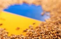Триватиме до кінця року: що відомо про заборону Словаччини на імпорт українського зерна